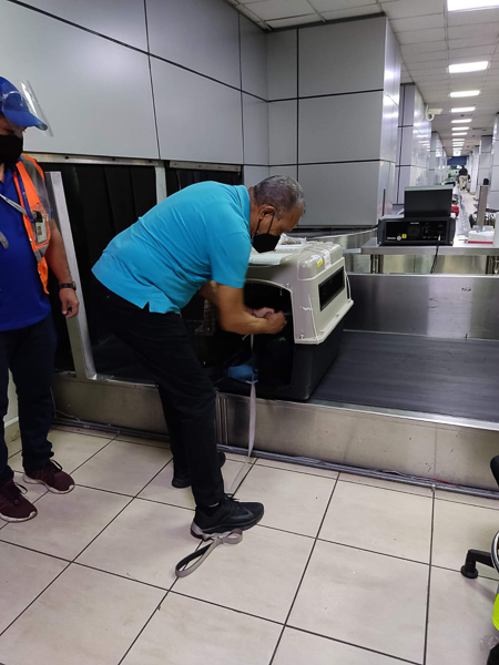 Jose Greeting a Pet